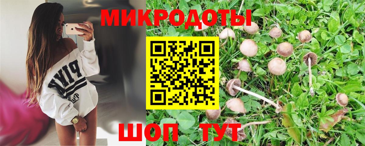 Губкинский  Псилоцибиновые грибы мицелий  Вход с VPN 