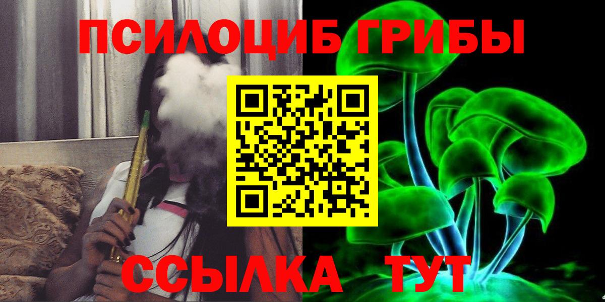 Псилоцибиновые грибы Psilocybine cubensis Губкинский